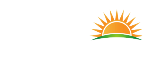 Professional Services-6